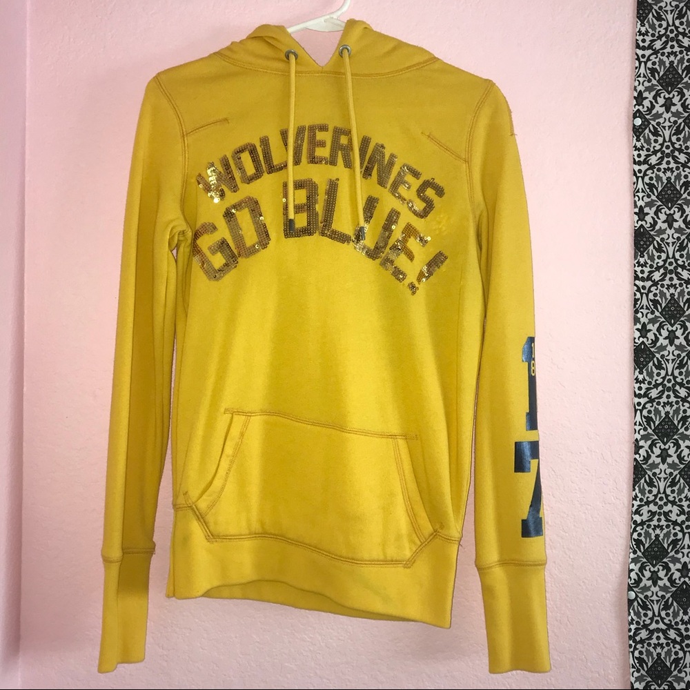 PINK Victoria’s Secret hoodie